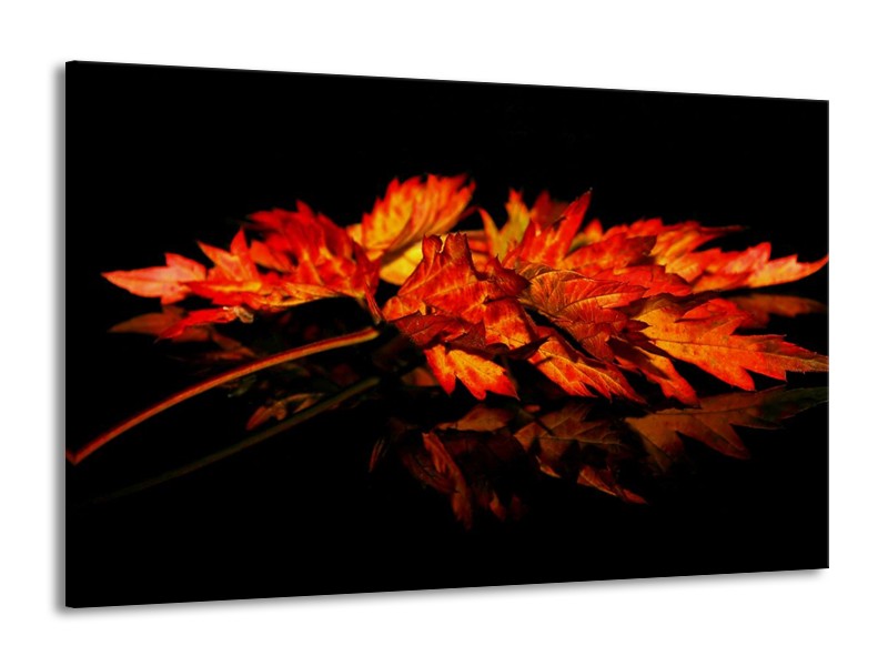 Canvas schilderij Herfstblad | Rood, Zwart, Oranje | 140x90cm 1Luik