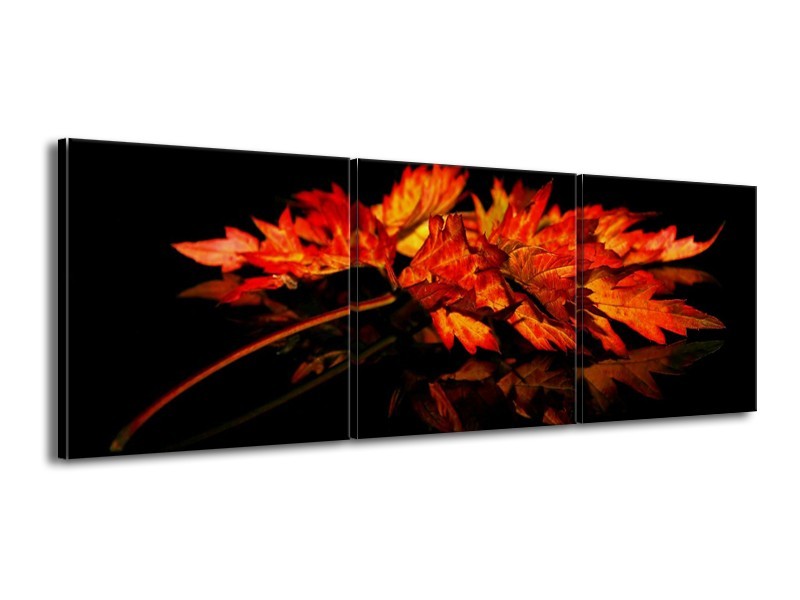 Canvas schilderij Herfstblad | Rood, Zwart, Oranje | 150x50cm 3Luik