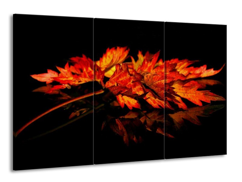 Canvas schilderij Herfstblad | Rood, Zwart, Oranje | 165x100cm 3Luik