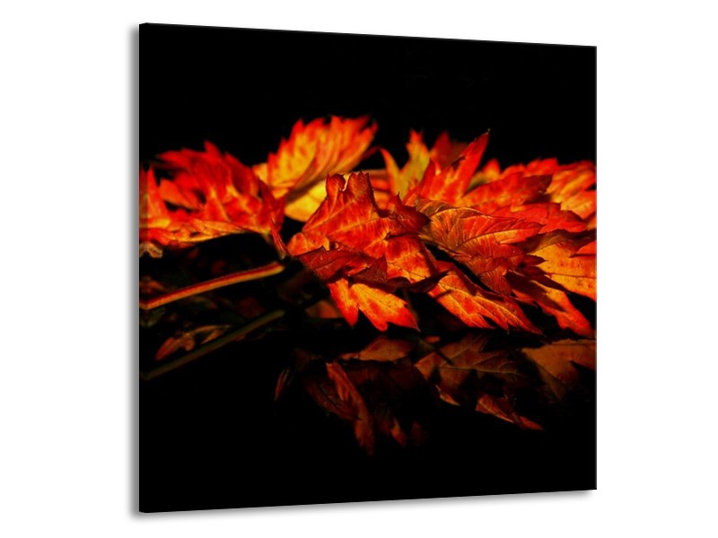 Glas schilderij Herfstblad | Rood, Zwart, Oranje | 50x50cm 1Luik