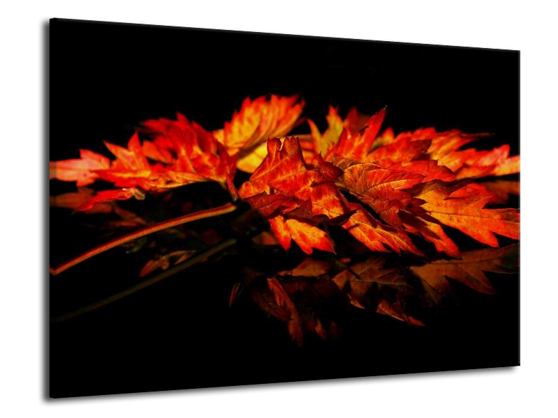 Canvas schilderij Herfstblad | Rood, Zwart, Oranje | 70x50cm 1Luik