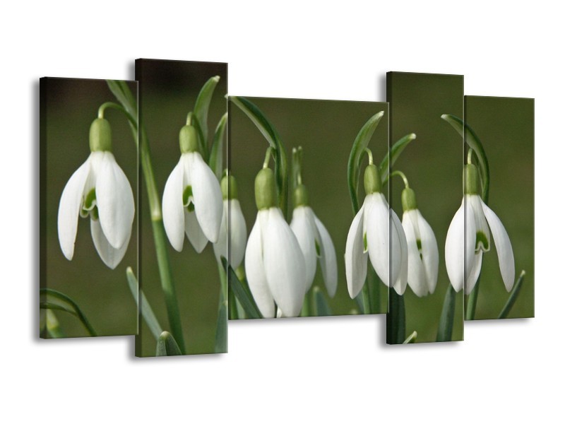 Canvas schilderij Bloem | Groen, Wit | 120x65 5Luik