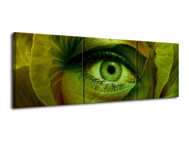 Glas schilderij Oog | Groen, Bruin | 120x40cm 3Luik
