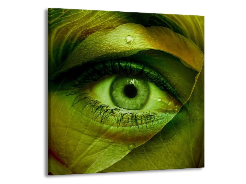 Glas schilderij Oog | Groen, Bruin | 50x50cm 1Luik
