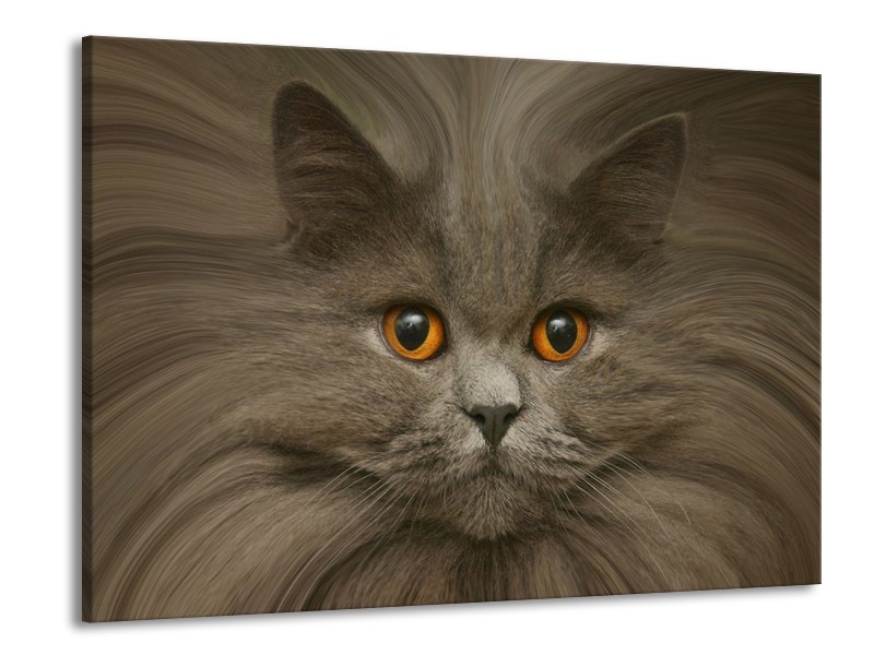 Canvas schilderij Kat | Grijs, Bruin, Wit | 100x70cm 1Luik