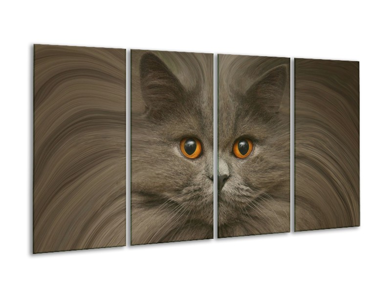 Canvas schilderij Kat | Grijs, Bruin, Wit | 160x80cm 4Luik