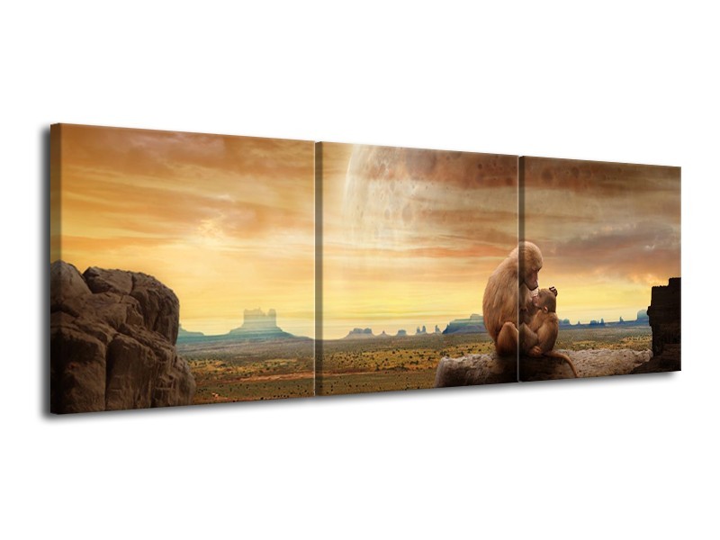 Canvas schilderij Aap | Bruin, Oranje | 120x40cm 3Luik