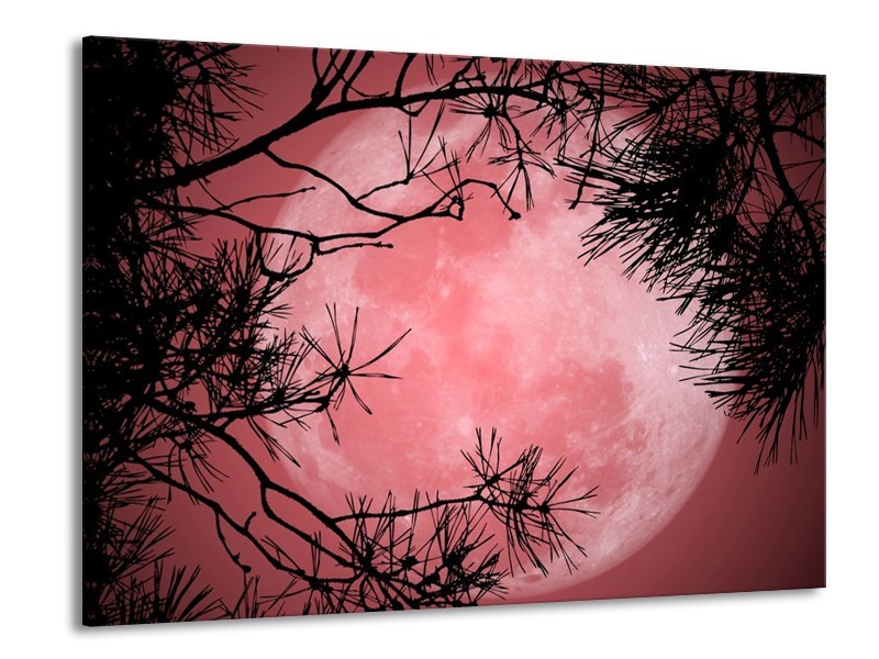 Glas schilderij Maan | Zwart, Paars, Rood | 100x70cm 1Luik