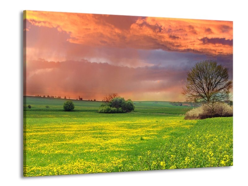 Canvas schilderij Landschap | Groen, Geel, Paars | 100x70cm 1Luik