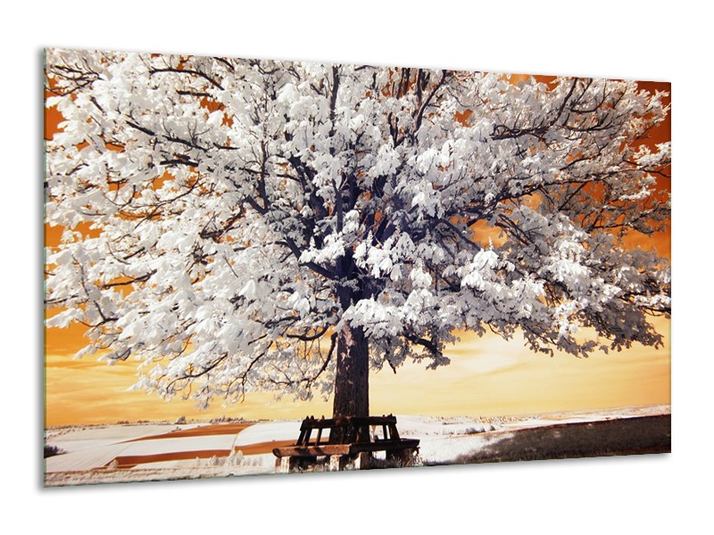 Canvas schilderij Boom | Wit, Geel, Zwart | 120x70cm 1Luik