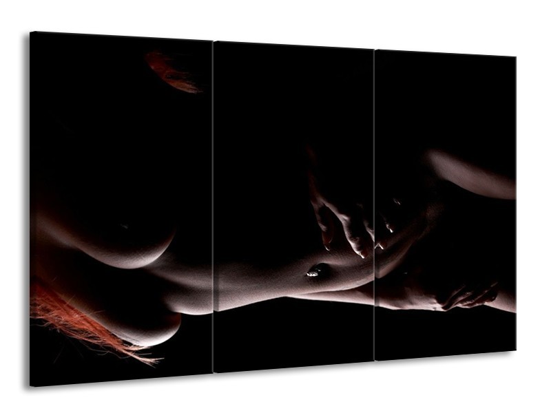 Canvas schilderij Vrouw | Zwart, Bruin | 165x100cm 3Luik