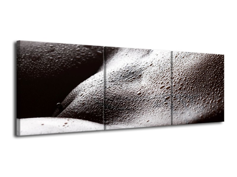 Canvas schilderij Lichaam | Grijs, Zwart, Wit | 120x40cm 3Luik