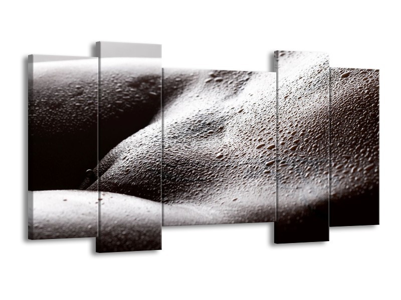 Canvas schilderij Lichaam | Grijs, Zwart, Wit | 120x65 5Luik