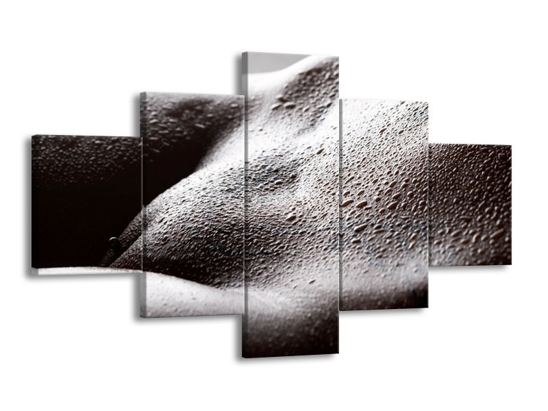 Canvas schilderij Lichaam | Grijs, Zwart, Wit | 125x70cm 5Luik