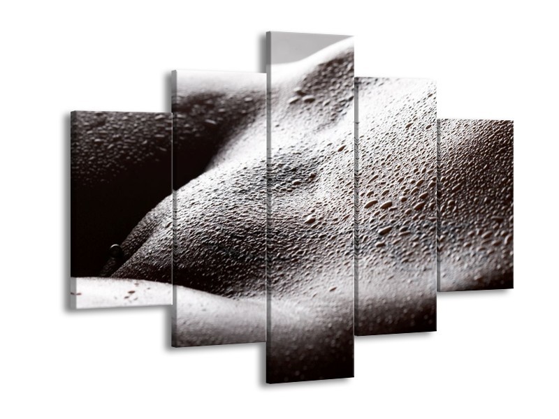 Canvas schilderij Lichaam | Grijs, Zwart, Wit | 150x105cm 5Luik