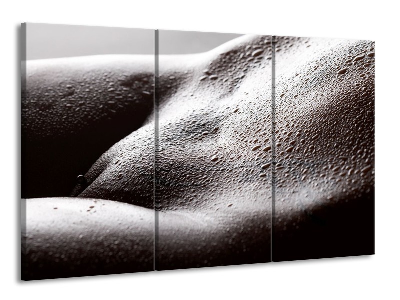 Canvas schilderij Lichaam | Grijs, Zwart, Wit | 165x100cm 3Luik