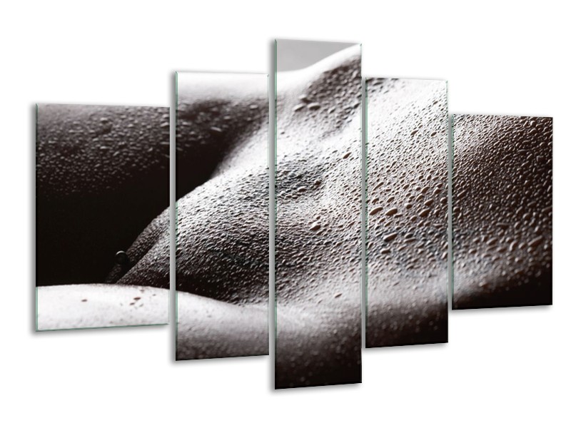 Canvas schilderij Lichaam | Grijs, Zwart, Wit | 170x100cm 5Luik