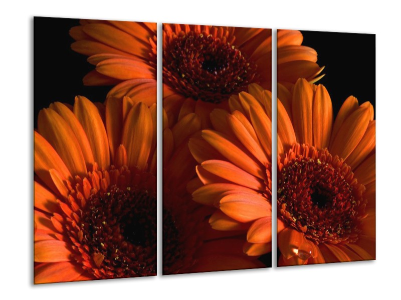 Canvas schilderij Bloem | Oranje, Zwart, Rood | 120x80cm 3Luik
