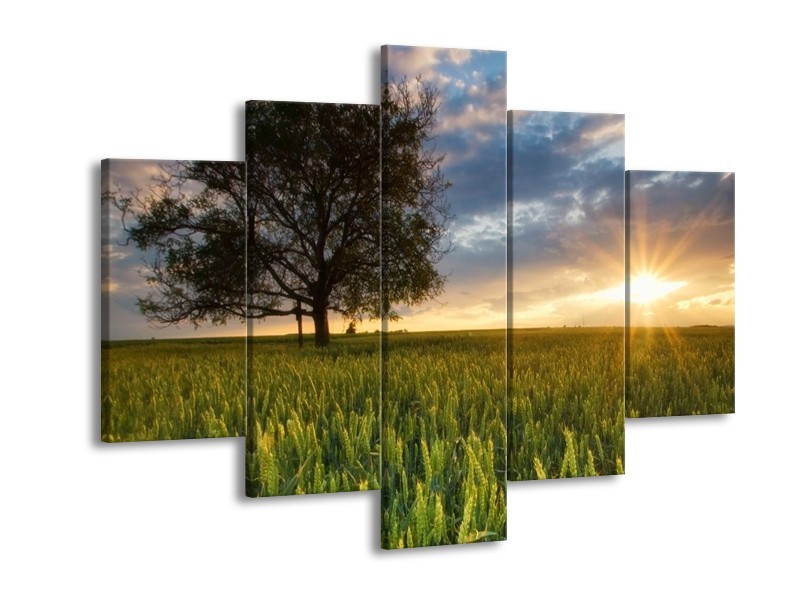 Canvas schilderij Landschap | Wit, Blauw, Groen | 150x105cm 5Luik