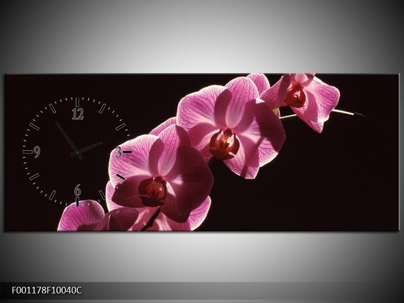 Klok schilderij Orchidee | Paars, Wit, Zwart | 100x40cm 1Luik