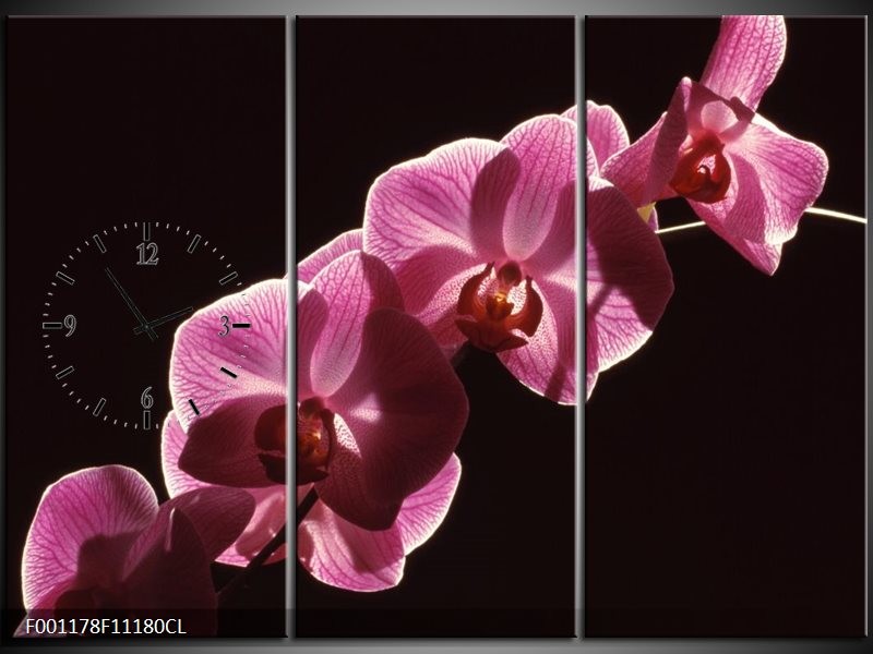 Klok schilderij Orchidee | Paars, Wit, Zwart | 111x80cm 3Luik