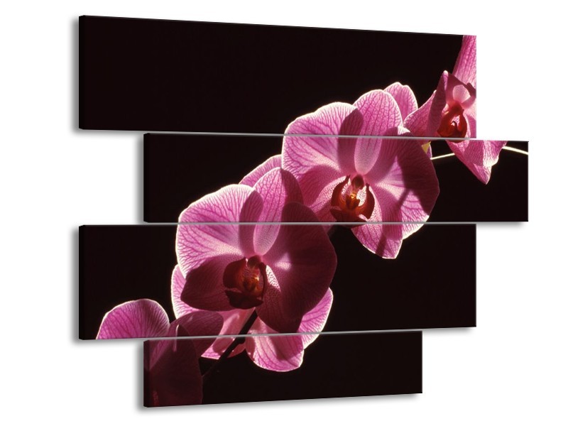Canvas schilderij Orchidee | Paars, Wit, Zwart | 115x85cm 4Luik
