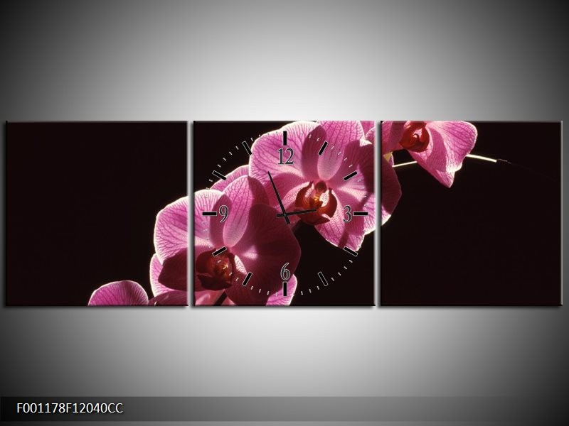 Klok schilderij Orchidee | Paars, Wit, Zwart | 120x40cm 3Luik