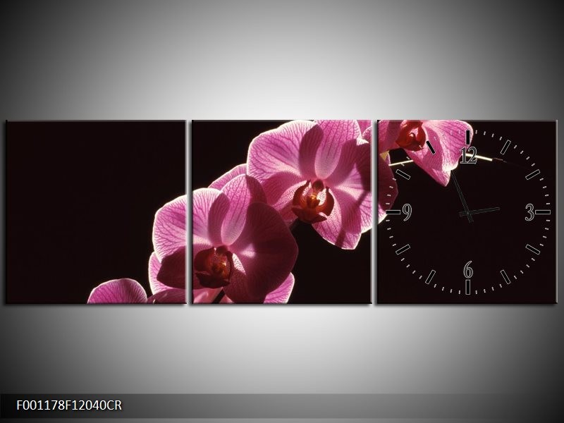 Klok schilderij Orchidee | Paars, Wit, Zwart | 120x40cm 3Luik