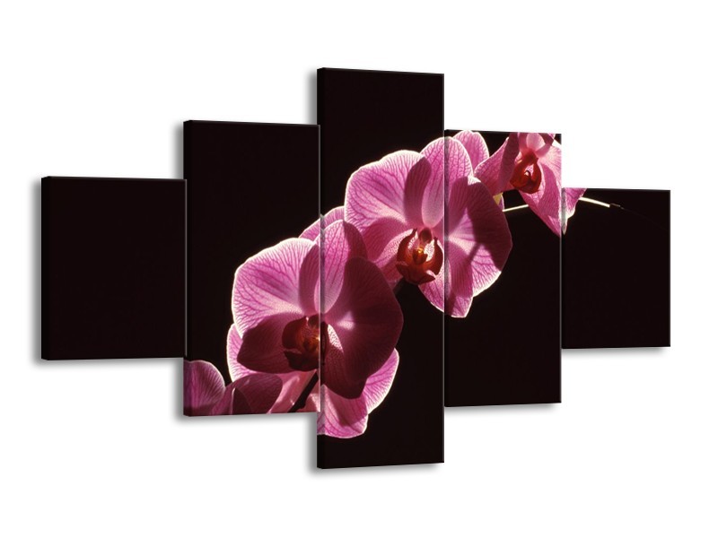 Canvas schilderij Orchidee | Paars, Wit, Zwart | 125x70cm 5Luik