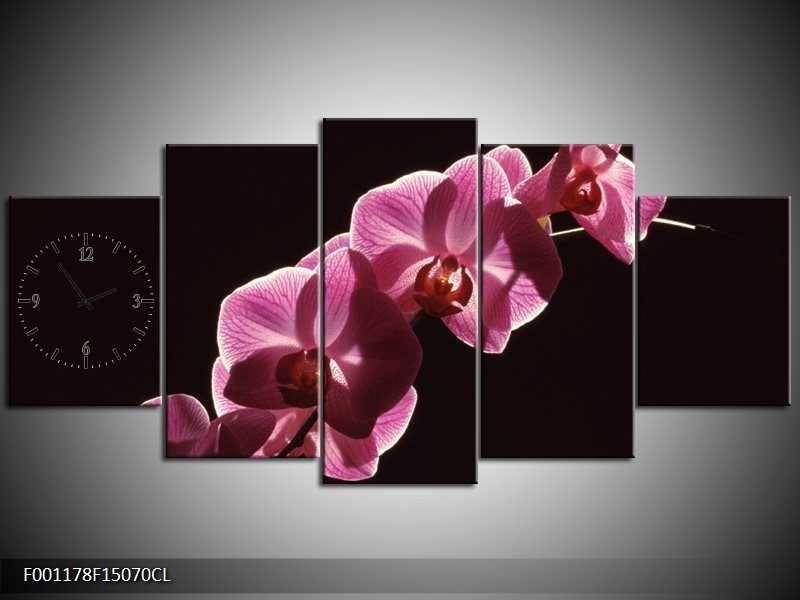 Klok schilderij Orchidee | Paars, Wit, Zwart | 150x70cm 5Luik