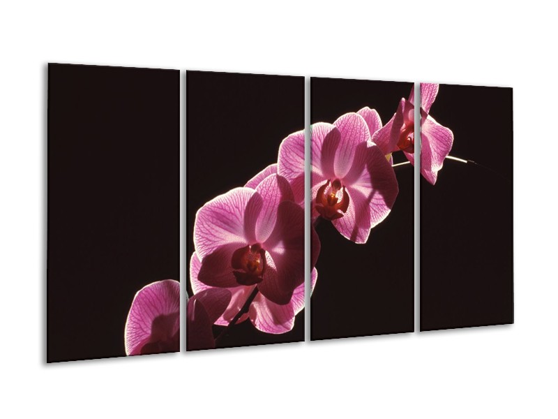 Canvas schilderij Orchidee | Paars, Wit, Zwart | 160x80cm 4Luik