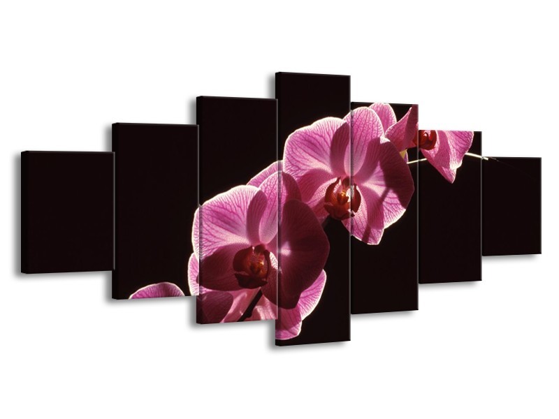 Canvas schilderij Orchidee | Paars, Wit, Zwart | 210x100cm 7Luik