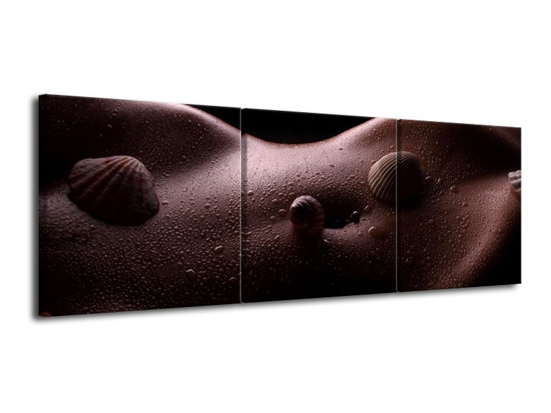 Canvas schilderij Lichaam | Zwart, Wit | 120x40cm 3Luik