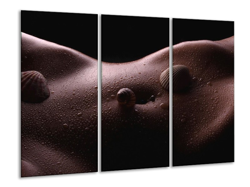 Canvas schilderij Lichaam | Zwart, Wit | 120x80cm 3Luik