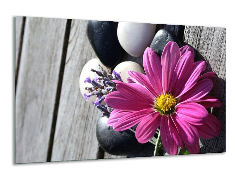 Canvas schilderij Bloem | Geel, Paars, Wit | 120x70cm 1Luik