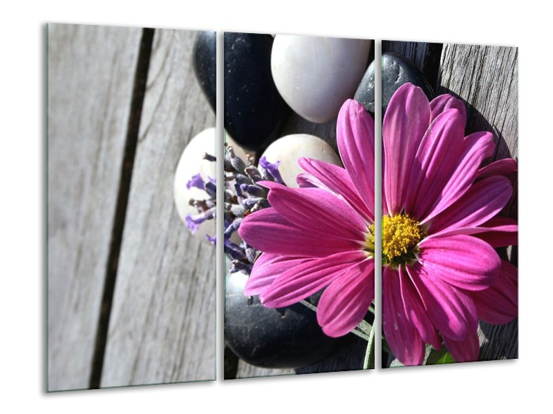 Canvas schilderij Bloem | Geel, Paars, Wit | 120x80cm 3Luik