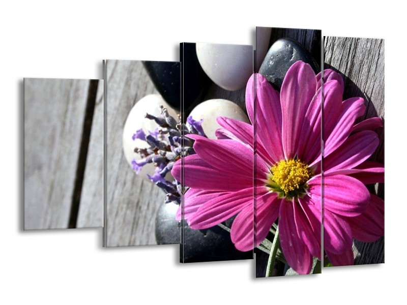Canvas schilderij Bloem | Geel, Paars, Wit | 150x100cm 5Luik