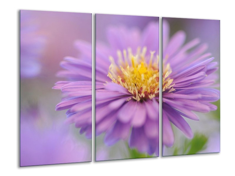 Canvas schilderij Bloem | Bloem, Geel | 120x80cm 3Luik