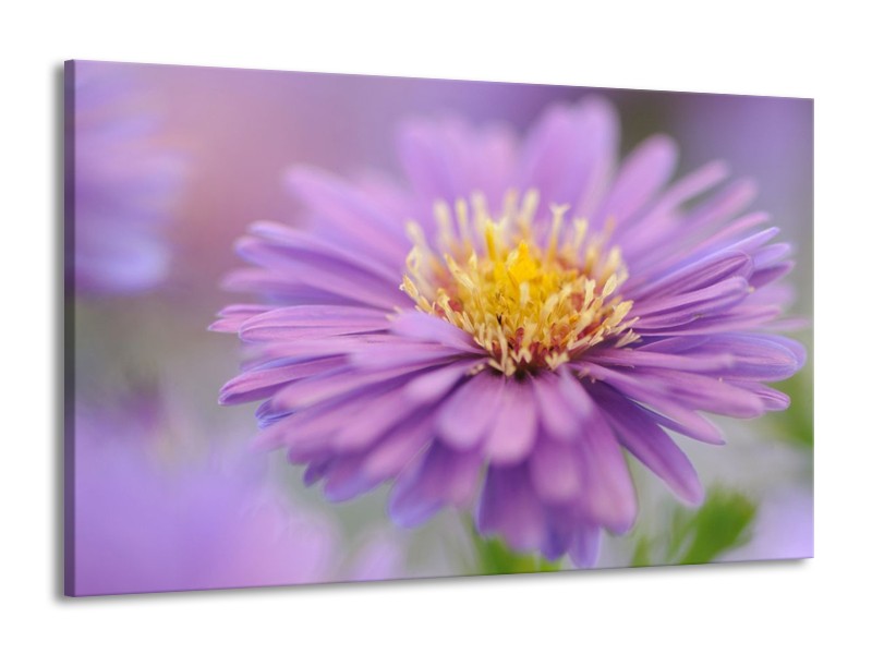 Canvas schilderij Bloem | Bloem, Geel | 140x90cm 1Luik