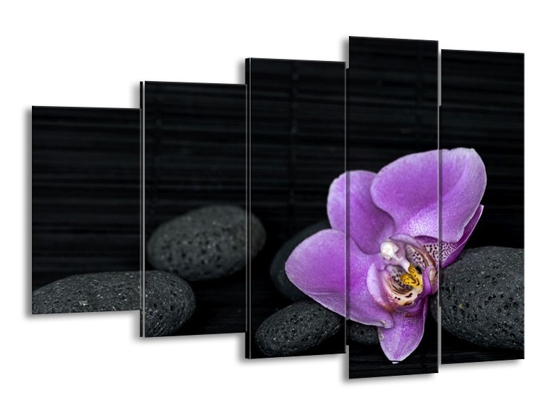 Canvas schilderij Orchidee | Paars, Wit, Grijs | 150x100cm 5Luik