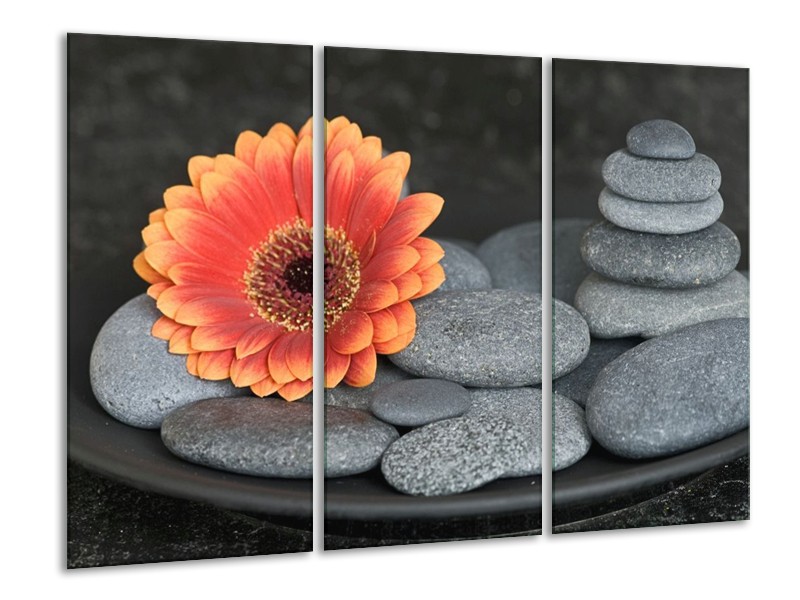Canvas schilderij Bloem | Oranje, Grijs | 120x80cm 3Luik