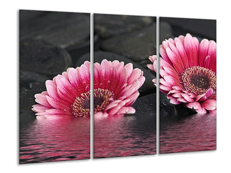 Canvas schilderij Gerbera | Rood, Grijs, Zwart | 120x80cm 3Luik
