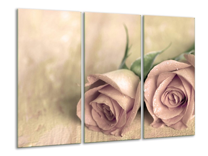 Canvas schilderij Roos | Groen, Crème | 120x80cm 3Luik
