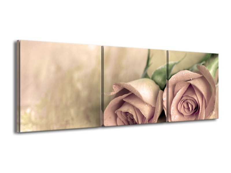 Canvas schilderij Roos | Groen, Crème | 150x50cm 3Luik