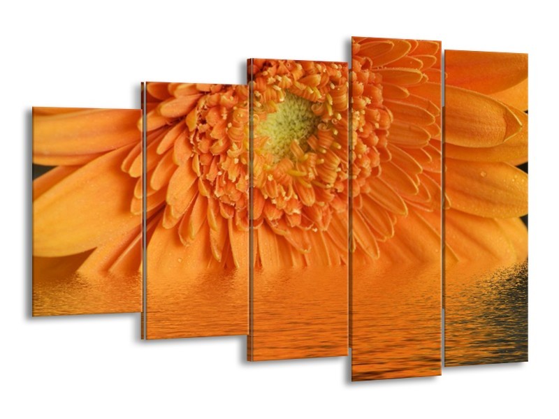 Canvas schilderij Bloem | Oranje, Grijs | 150x100cm 5Luik