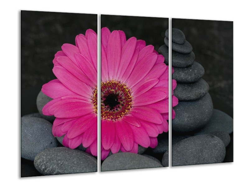 Canvas schilderij Bloem | Grijs, Rood | 120x80cm 3Luik