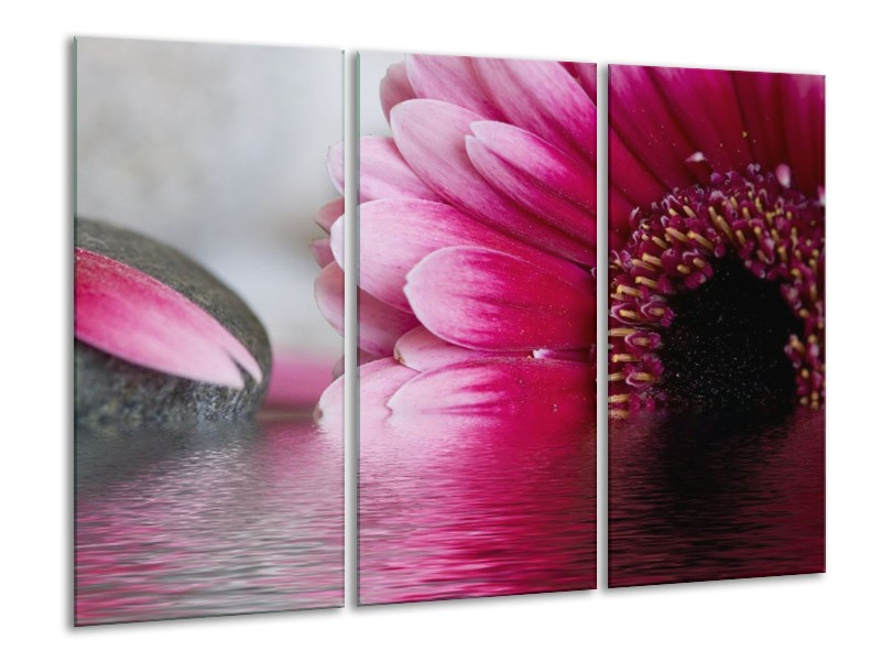 Canvas schilderij Bloem | Grijs, Rood, Wit | 120x80cm 3Luik