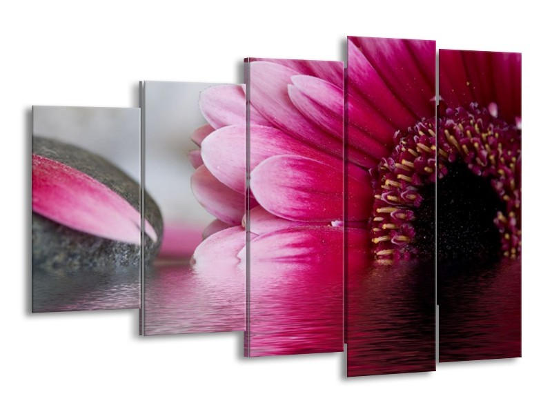 Canvas schilderij Bloem | Grijs, Rood, Wit | 150x100cm 5Luik