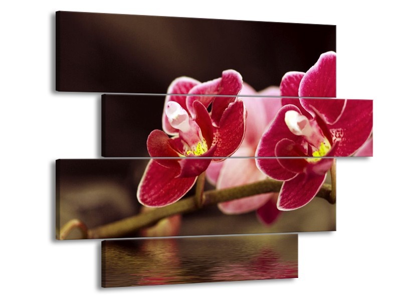 Canvas schilderij Orchidee | Zwart, Rood | 115x85cm 4Luik