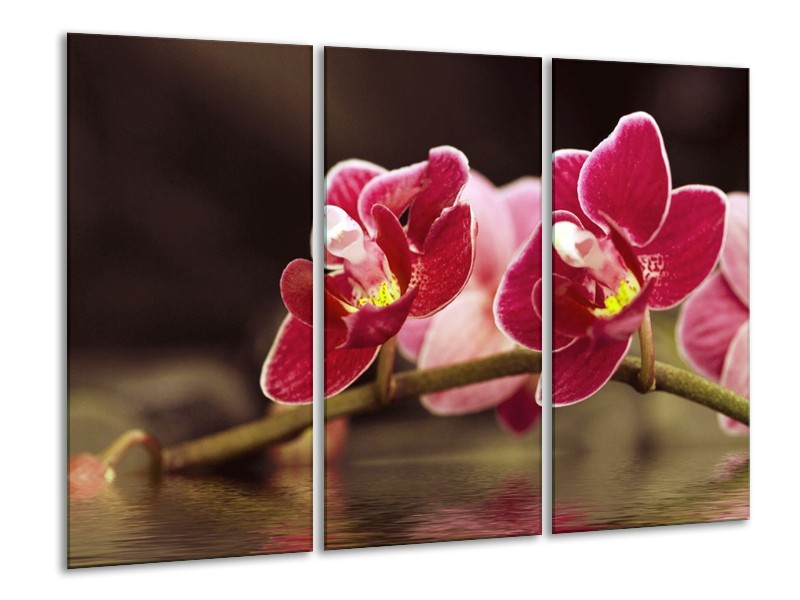 Canvas schilderij Orchidee | Zwart, Rood | 120x80cm 3Luik